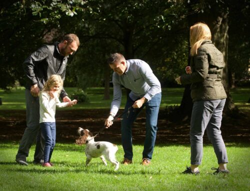 Dog Training for Good Obedience