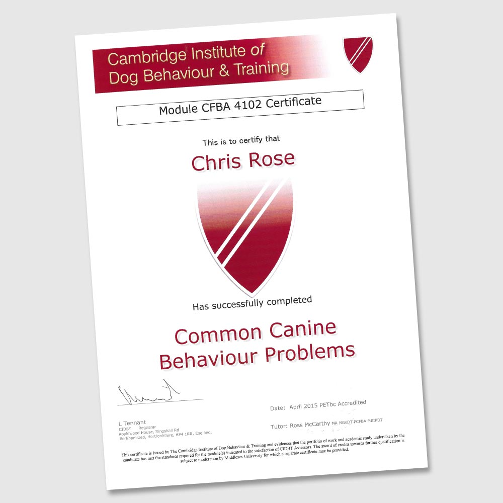 Dog Training Northampton Chris Rose