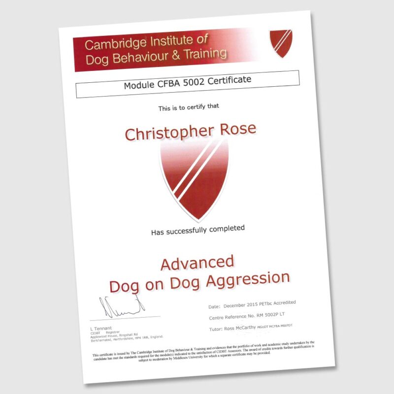 Dog Training Northampton Chris Rose